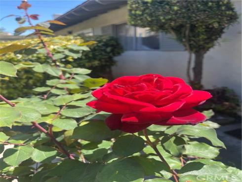 3139 E Chapman 14A Avenue, Orange, CA