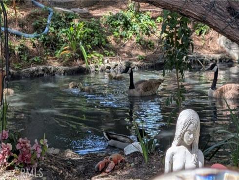 4900 E Chapman 59 Avenue, Orange, CA