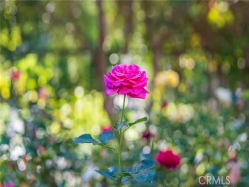 435 S Estate Drive, Orange, CA