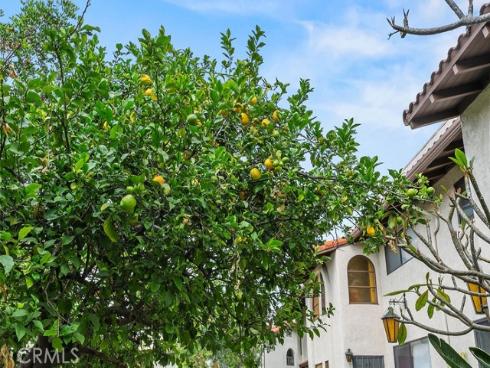 400 S Flower St 84 , Orange, CA