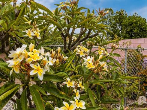 1901 W Almond Avenue, Orange, CA