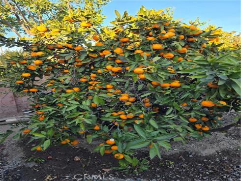 1901 W Almond Avenue, Orange, CA