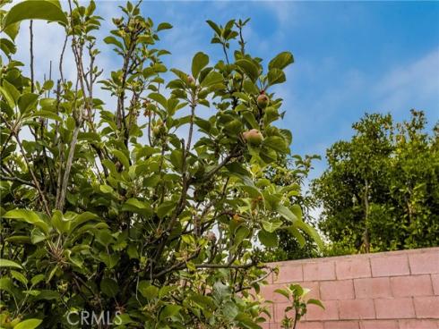 1901 W Almond Avenue, Orange, CA