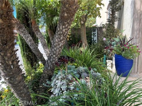 8343 E Chatham   Terrace, Orange, CA