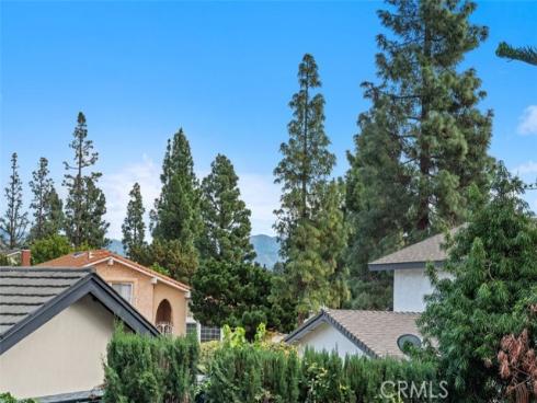 1665  N. Sycamore Street  , Orange, CA