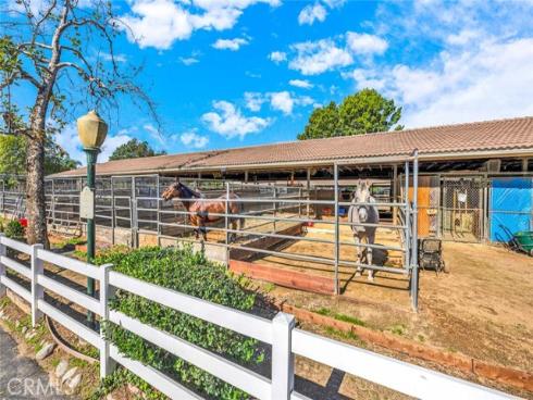 1607 N Dressage Street, Orange, CA