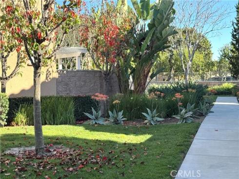 231 W Cork Tree  , Orange, CA