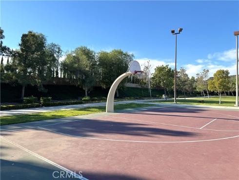 231 W Cork Tree  , Orange, CA