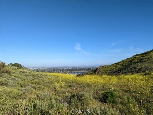 190 N Singingwood  , Orange, CA