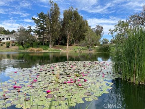 654 N Buttonbush  , Orange, CA