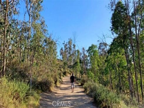 104 S Cross Creek  M  Road, Orange, CA