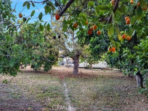 1721 W Palmyra  , Orange, CA