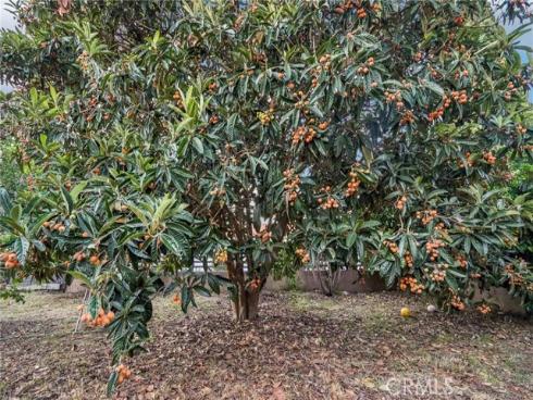 1721 W Palmyra  , Orange, CA