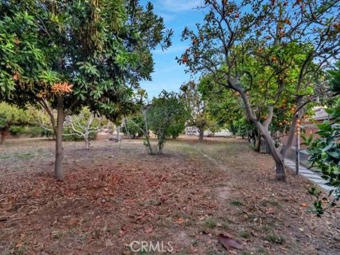 1721 W Palmyra  , Orange, CA