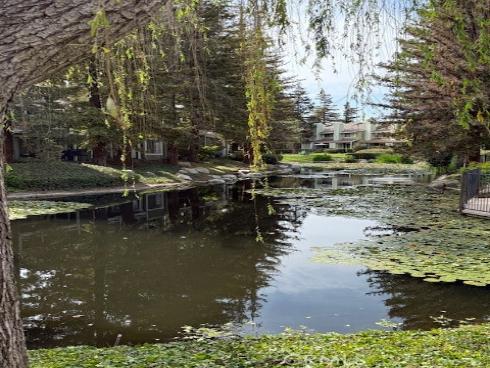 700 E Lake  52  Drive, Orange, CA