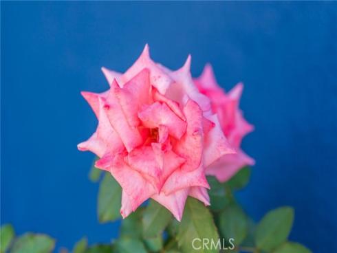 2506 N Lisa  , Orange, CA