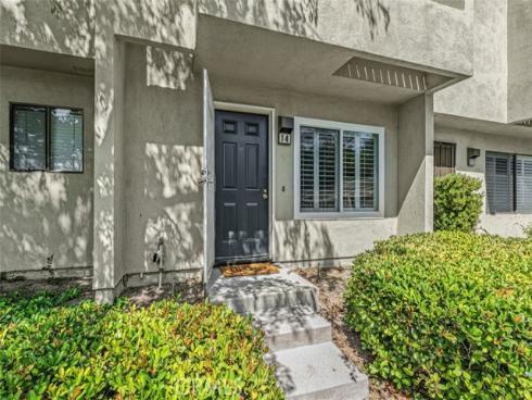 245 N. North Singingwood Street 14