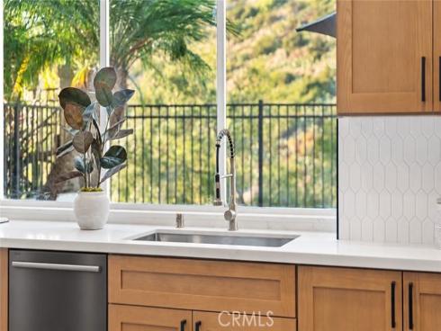 6727 E Pinnacle Pointe , Orange, CA