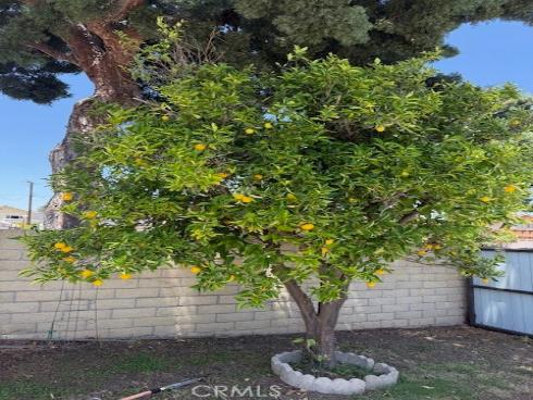 1640 Valencia Avenue, Placentia, CA