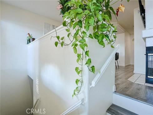 339 S Van Buren  D  Street, Placentia, CA