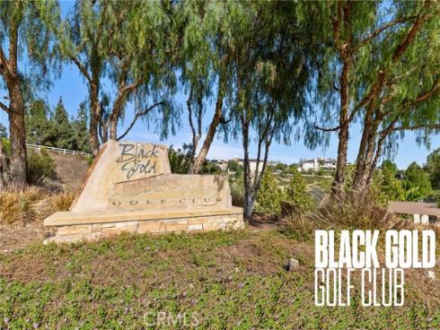 1952 Avenida Del Sol , Placentia, CA