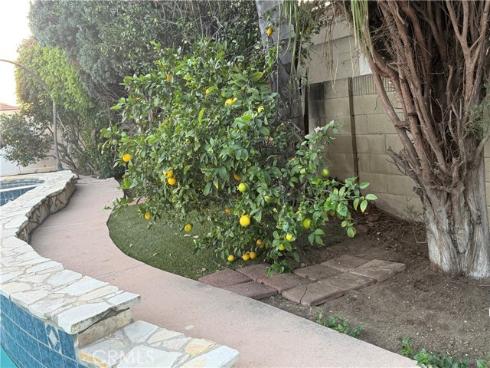 455  Purdy  , Placentia, CA