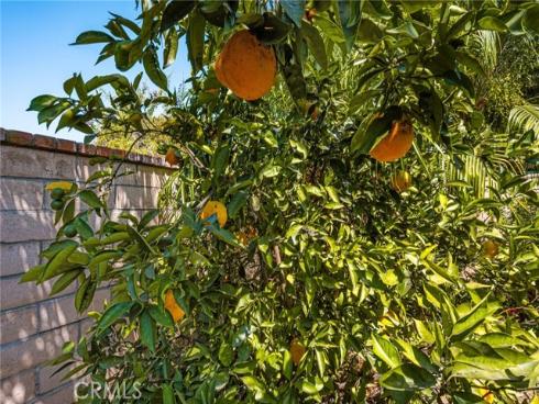 1249 Bering Street, Placentia, CA