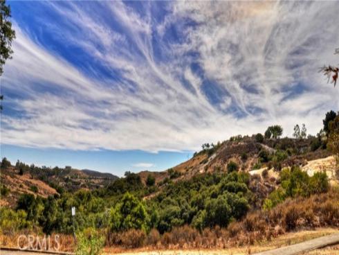 31945  Mill Stream   Road, Rancho Santa Margarita, CA