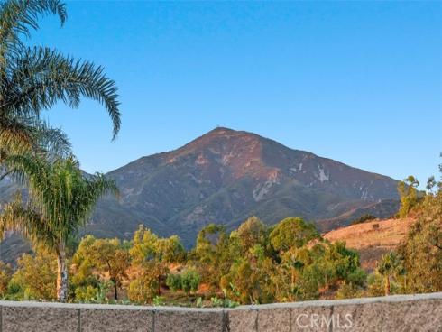 32691  Deerhollow Circle  , Rancho Santa Margarita, CA