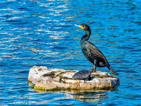 9 Las Piedras , Rancho Santa Margarita, CA