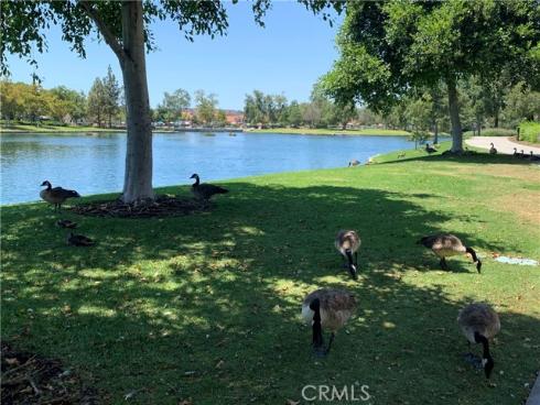 22 Santolina , Rancho Santa Margarita, CA