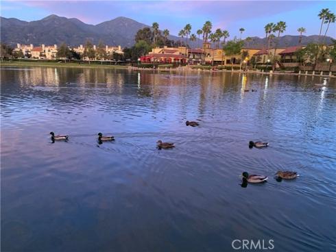 22  Santolina  , Rancho Santa Margarita, CA