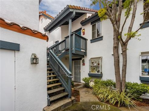 34  Dianthus  , Rancho Santa Margarita, CA