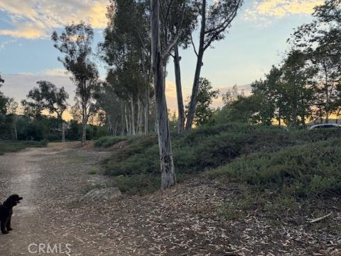 32042 Pleasant Glen Road , Rancho Santa Margarita, CA