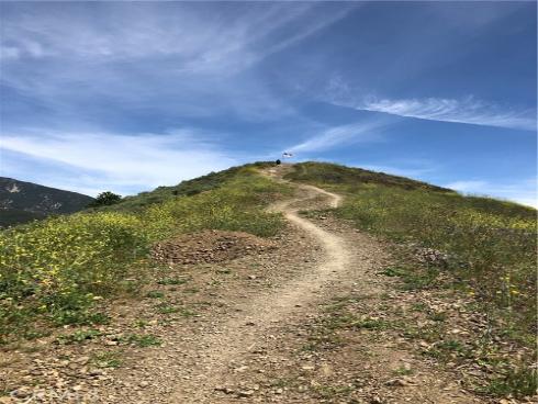 8  Danta  , Rancho Santa Margarita, CA