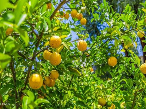 3 Calle Albarda , Rancho Santa Margarita, CA