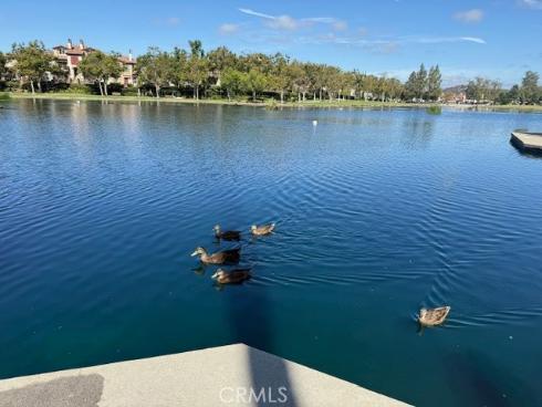 71 Via Cresta , Rancho Santa Margarita, CA