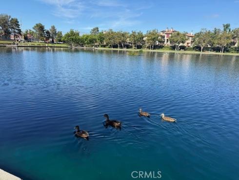 71 Via Cresta , Rancho Santa Margarita, CA