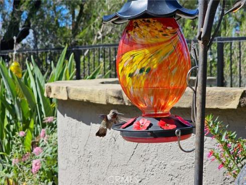 21351 Birdhollow Drive, Rancho Santa Margarita, CA