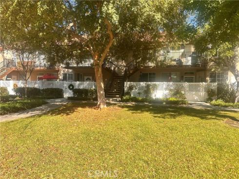 21  Silktassel  , Rancho Santa Margarita, CA