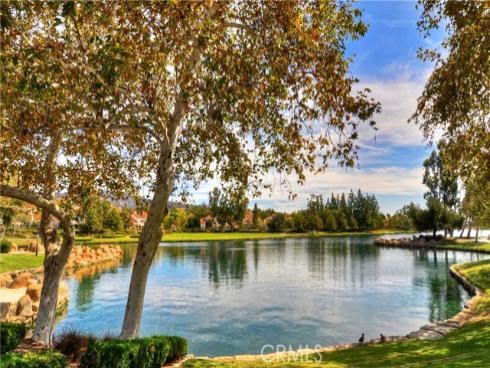 21  Silktassel  , Rancho Santa Margarita, CA