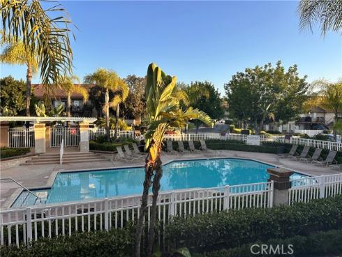 21  Silktassel  , Rancho Santa Margarita, CA