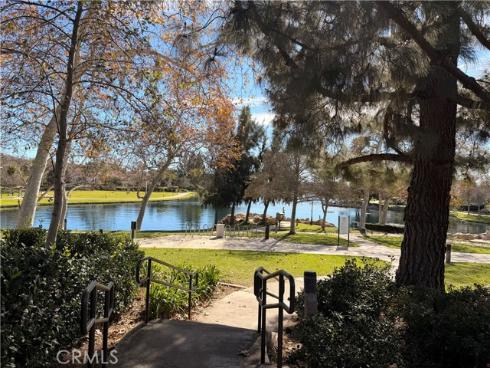 46  Celosia  , Rancho Santa Margarita, CA