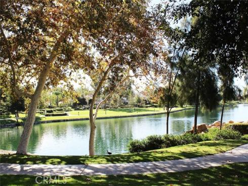 46  Celosia  , Rancho Santa Margarita, CA