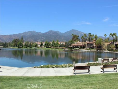 46  Celosia  , Rancho Santa Margarita, CA