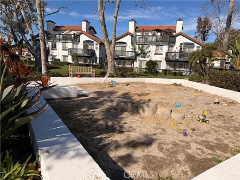 46  Celosia  , Rancho Santa Margarita, CA