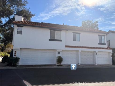 46  Celosia  , Rancho Santa Margarita, CA