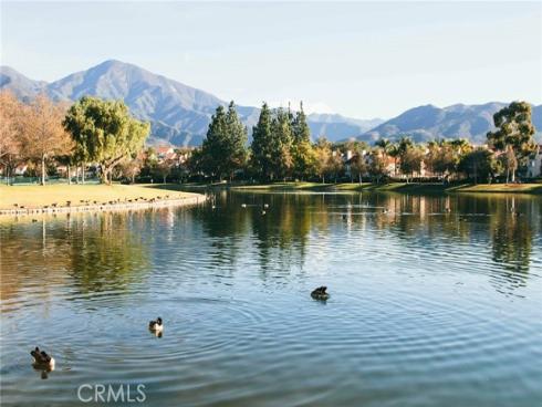 46  Celosia  , Rancho Santa Margarita, CA