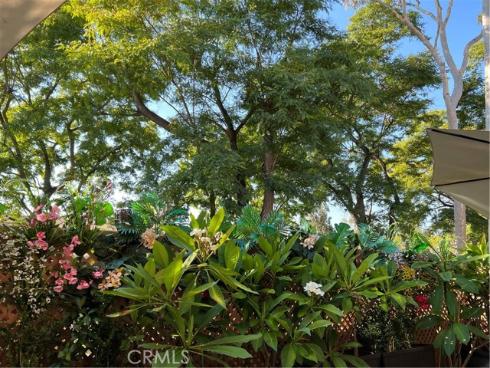 81  Pasto Rico  , Rancho Santa Margarita, CA