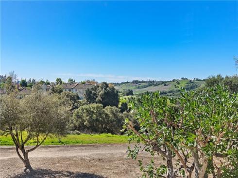 20  Wild Lilac   Lane, Rancho Santa Margarita, CA